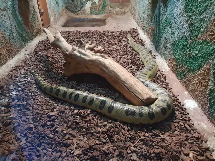 Snake park