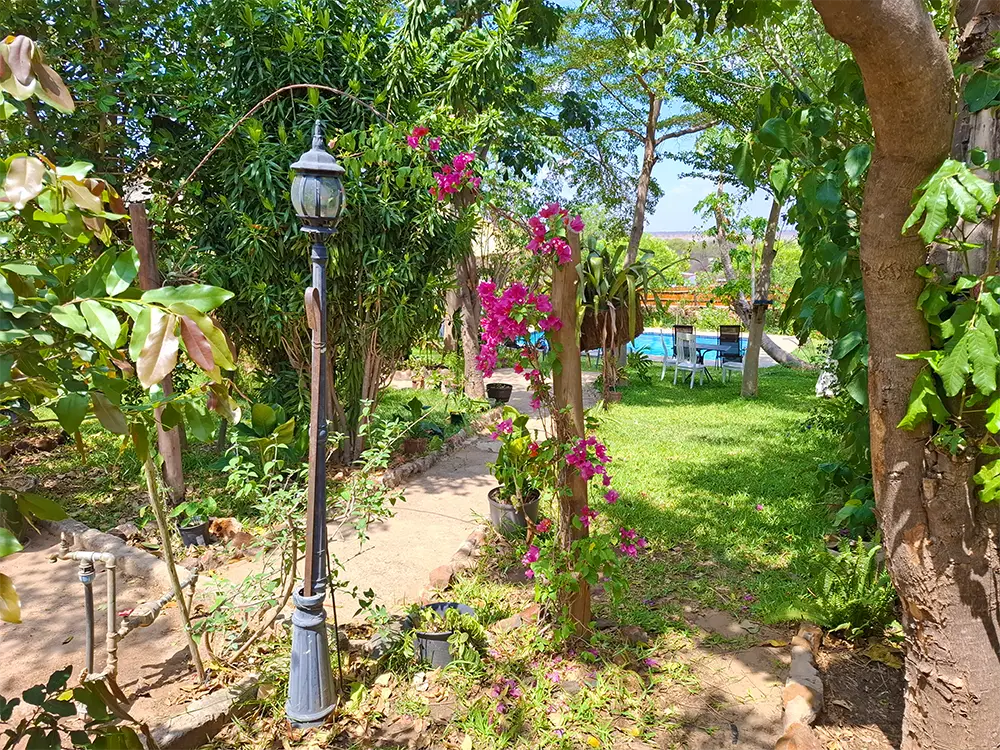 Garden path with a lamp post and bougainvillea