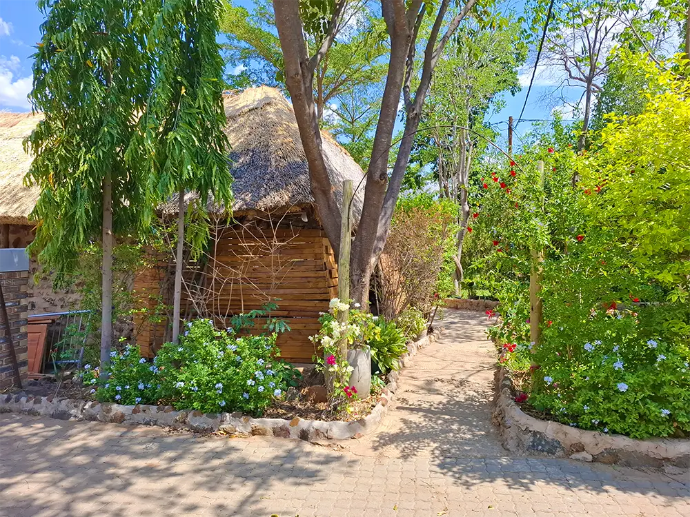 Paved garden path to a thatched cottage