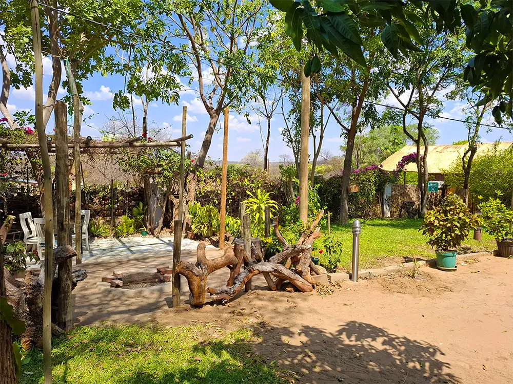 Lawn and driftwood features in the garden