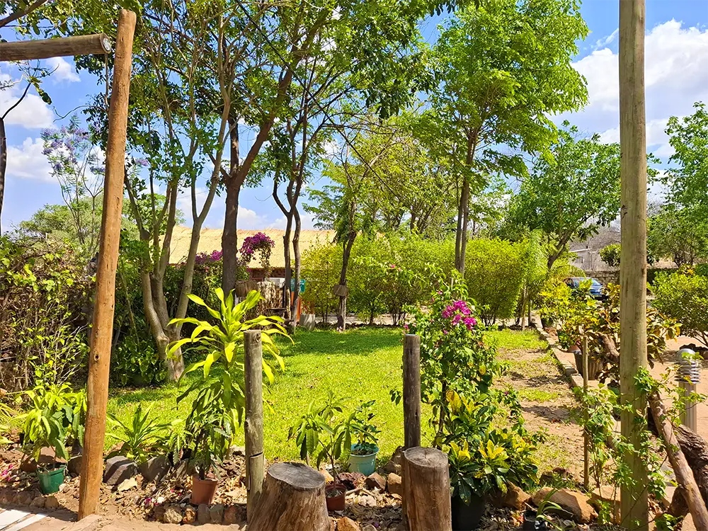 Lawn and flowering plants in the garden