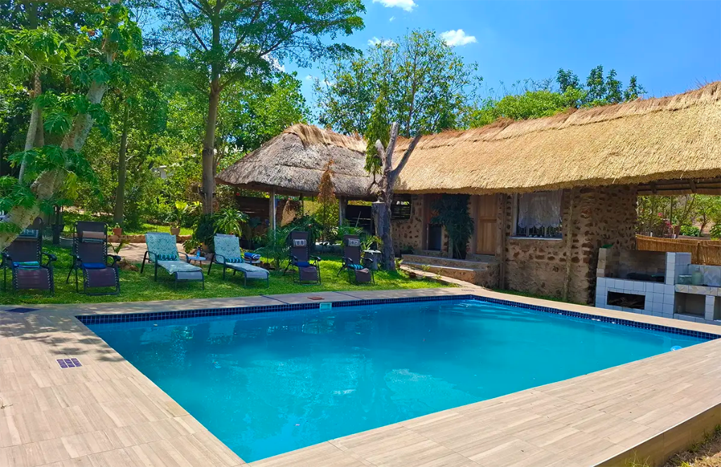Swimming pool and thatched lapa with sun loungers